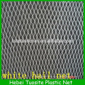 Filet de pommier / Agriculture Apple Tree Anti Hail Net